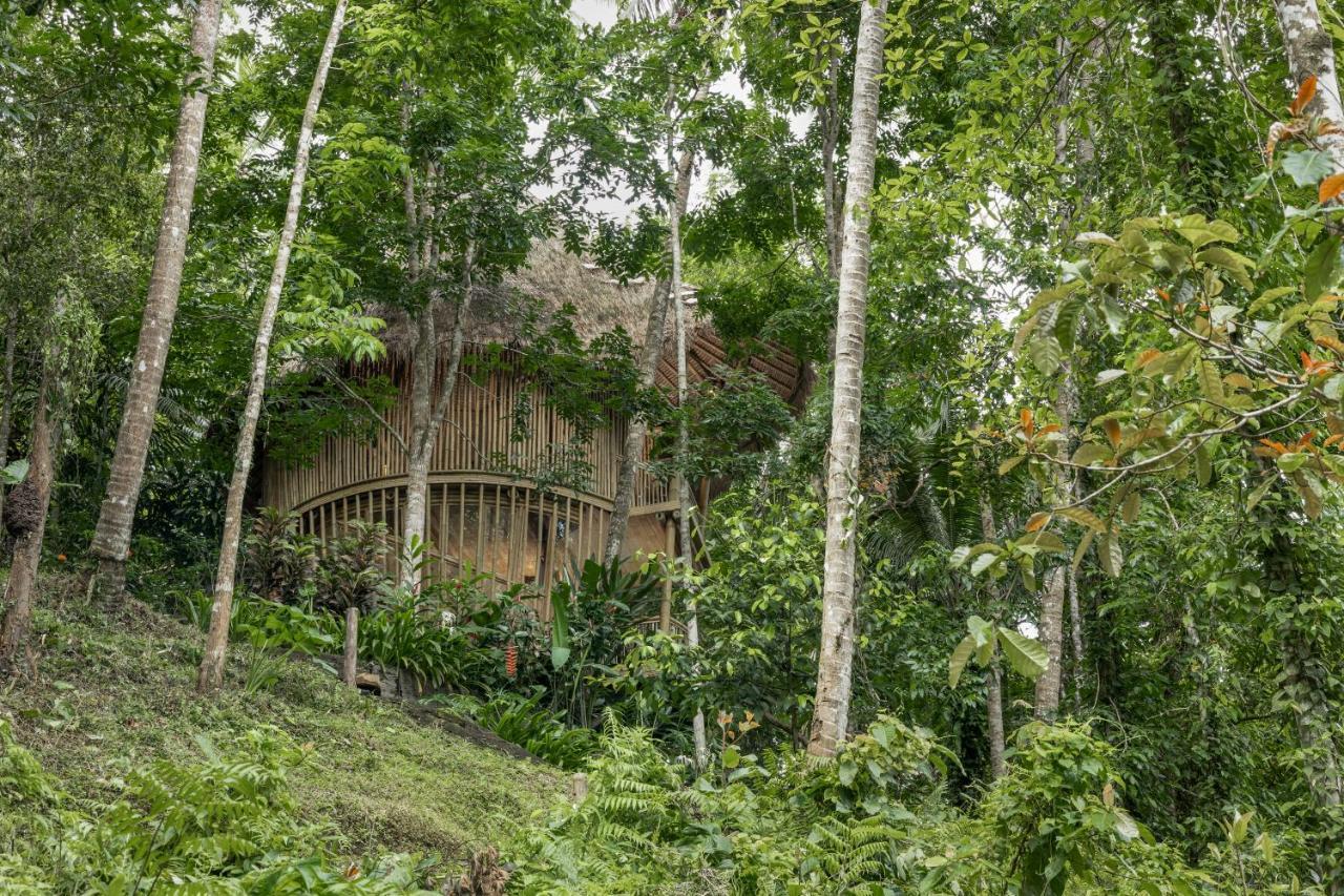 Amarta Pesagi Retreat Tabanan Villa Eksteriør bilde